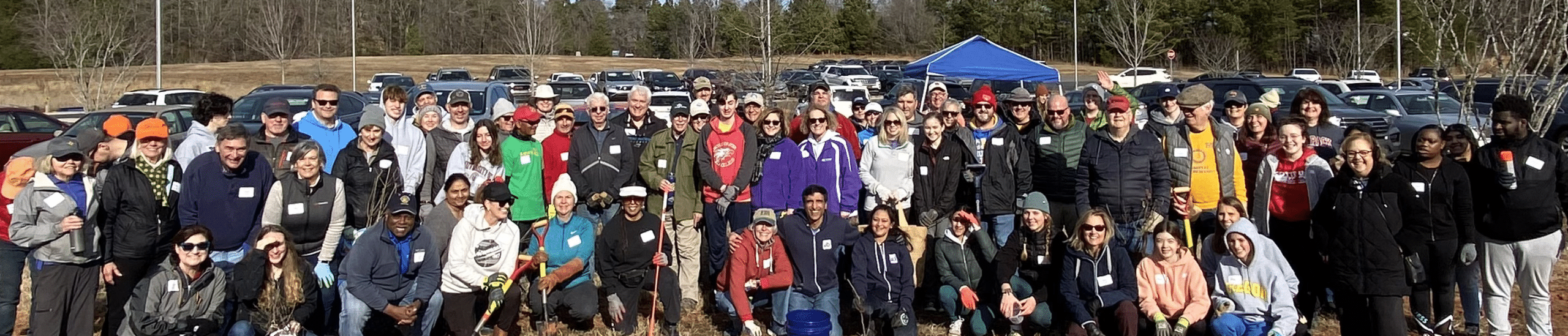 Tree Planting